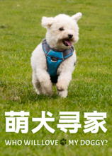 萌犬寻家